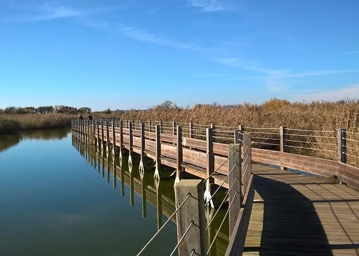 T2 D'exception Sur Port Ariane Lattes